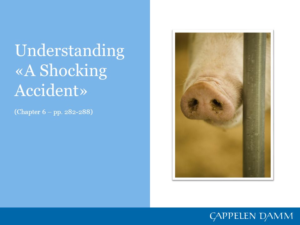 Understanding «A Shocking Accident» (Chapter 6 – pp ) - ppt video online  download