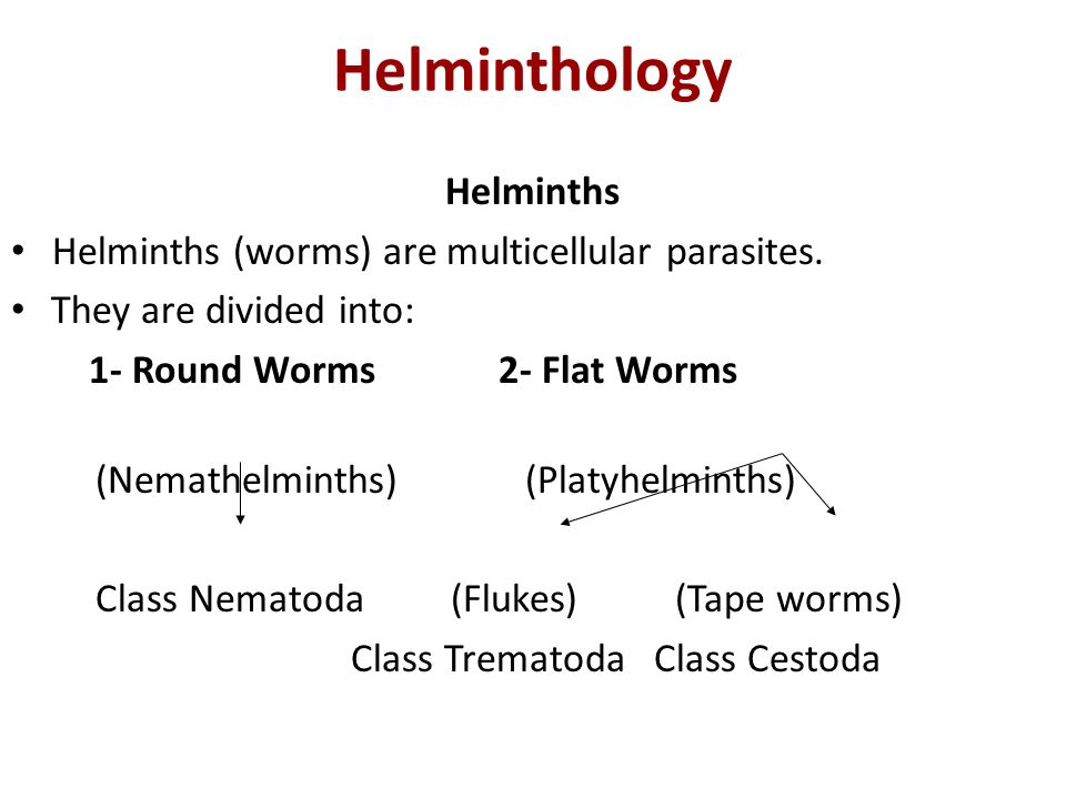 Helminthiasis és Parasitology Kutatóintézet, Helminthiasis és Parasitology Kutatóintézet