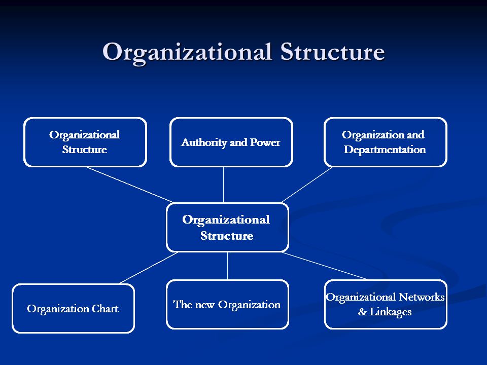 Organizational Structure - ppt video online download