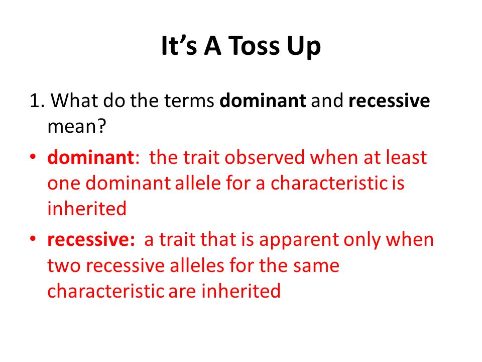 What does 2024 dominant mean
