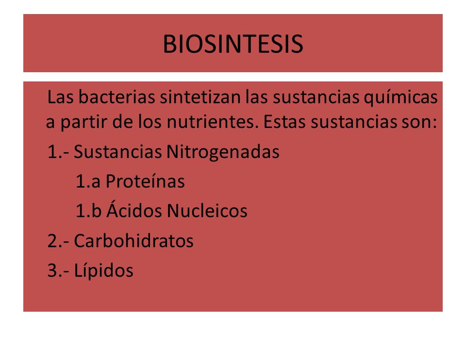 BIOSINTESIS Las bacterias sintetizan las sustancias químicas a partir de  los nutrientes. Estas sustancias son: 1.- Sustancias Nitrogenadas 1.a  Proteínas. - ppt download