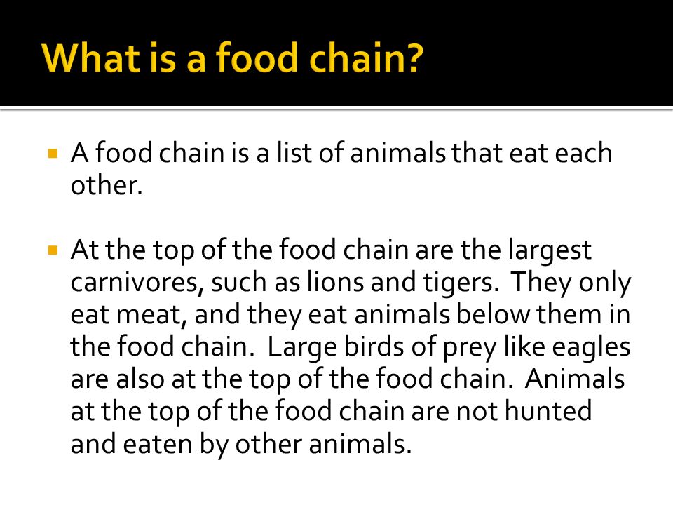 A food chain is a list of animals that eat each other.  At the top of the  food chain are the largest carnivores, such as lions and tigers. They only.  -