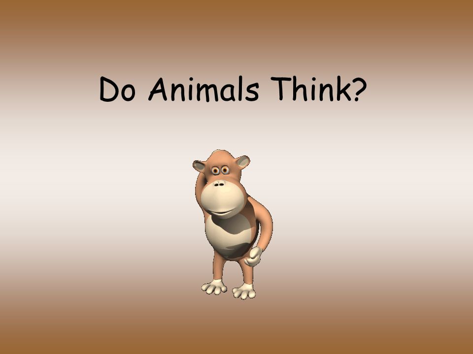 Do Animals Think?. Do animals think? 4 cognitive skills shared by the great  apes and humans –Formation of concepts –Display insight –Use and create  tools. - ppt download