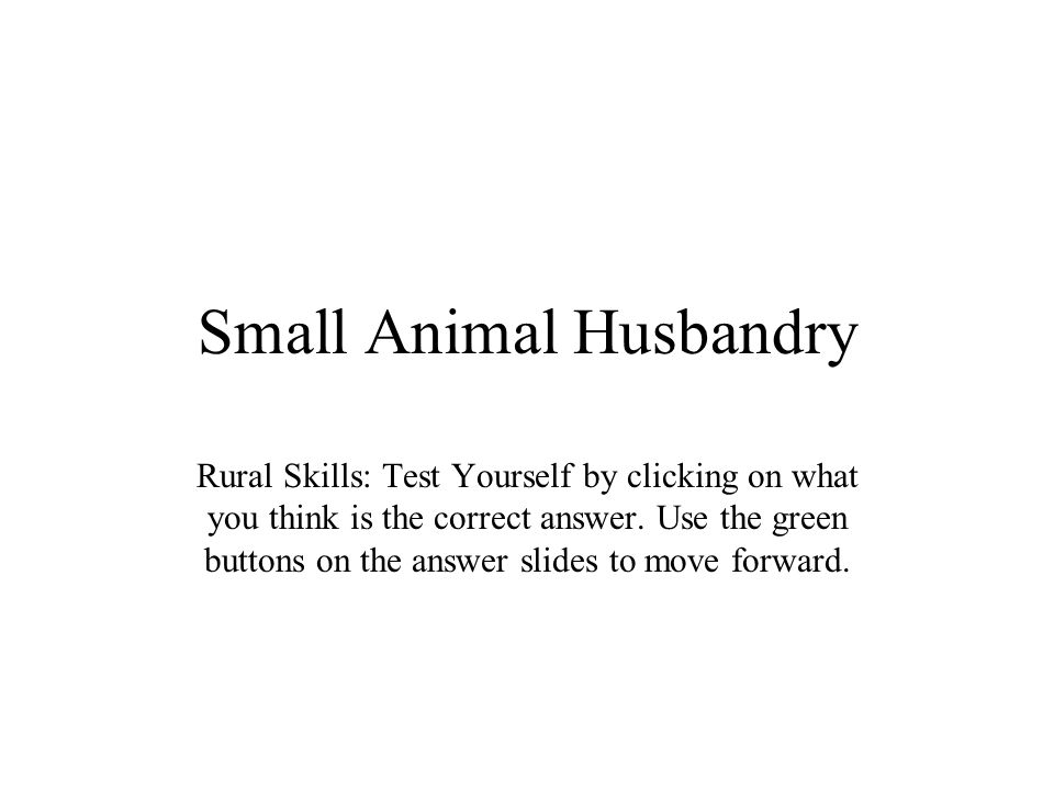 Small Animal Husbandry Rural Skills: Test Yourself by clicking on what you  think is the correct answer. Use the green buttons on the answer slides to  move. - ppt download