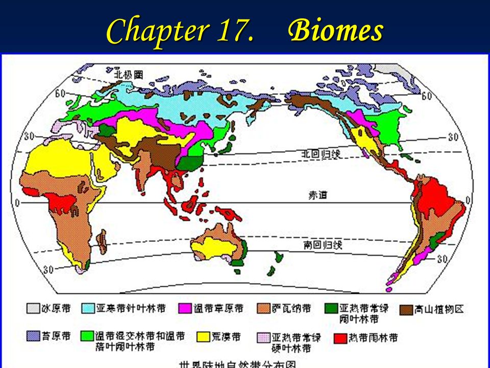 Chapter 17 Biomes 生物群系 Different Types Of Ecosystems Biome 生物群区 生物群落型 即主要 生物群落型 森林 疏林 灌木林 草地和荒漠是 5 个主要的生物群系或生物群落型 Ppt Download