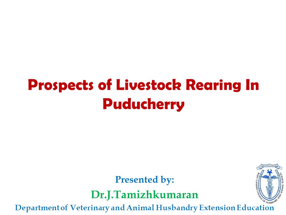 Prospects of Livestock Rearing In Puducherry Presented by: Department of Veterinary and Animal Husbandry Extension Education. - ppt download Prospects of Livestock Rearing In Puducherry Presented by: Department of Veterinary and Animal Husbandry Extension Education. - ppt download