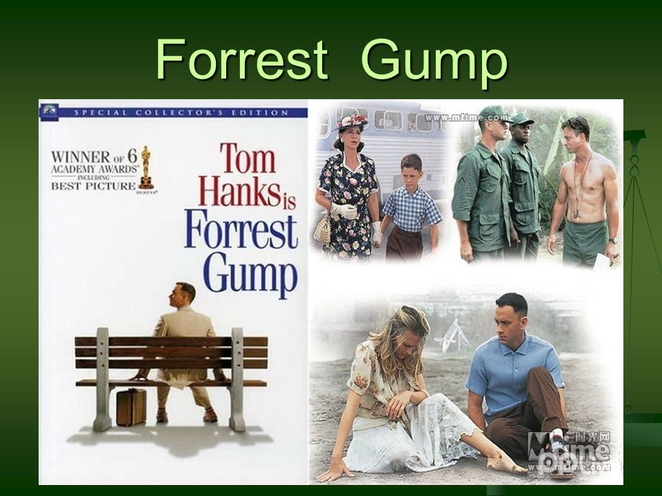 Summary of Forrest Gump (1994) — A Heartfelt Journey Through Life, Love,  and the American Dream, by Yuwailinn Tatsuya