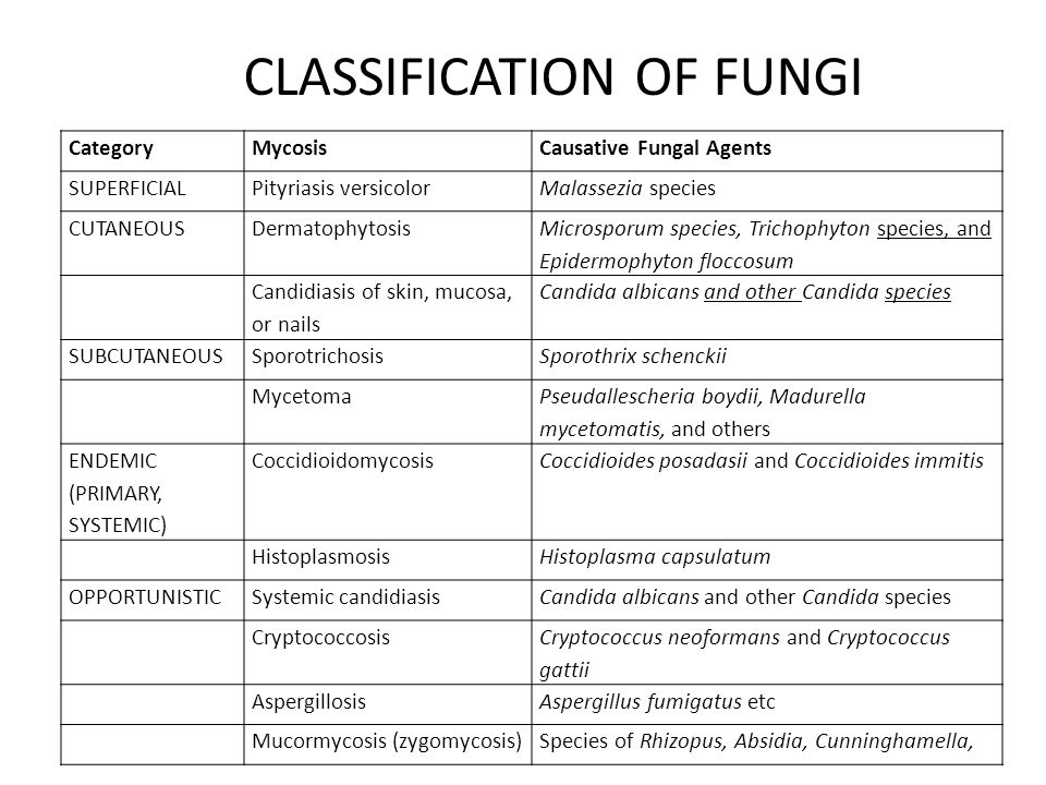 Fungi Classification - SEONegativo.com