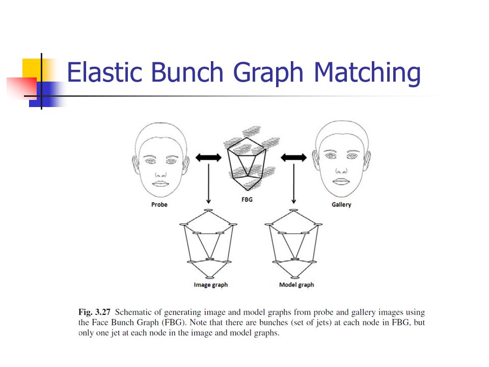 Face Recognition By Elastic Bunch Graph Matching Pdf - fasrwrap