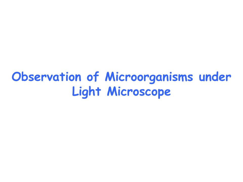 Light microscopic observation.