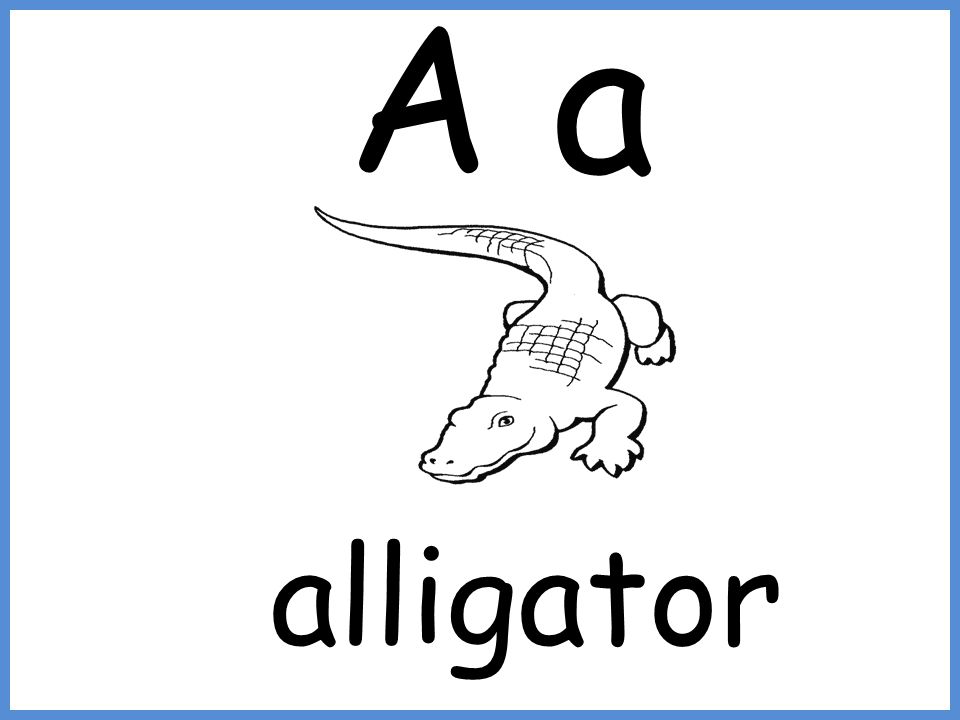 A a alligator. - ppt video online download