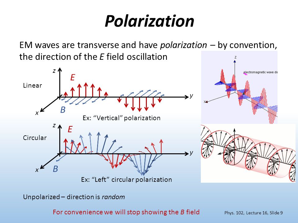 Ee302.6:Polarisation. - - Blendspace