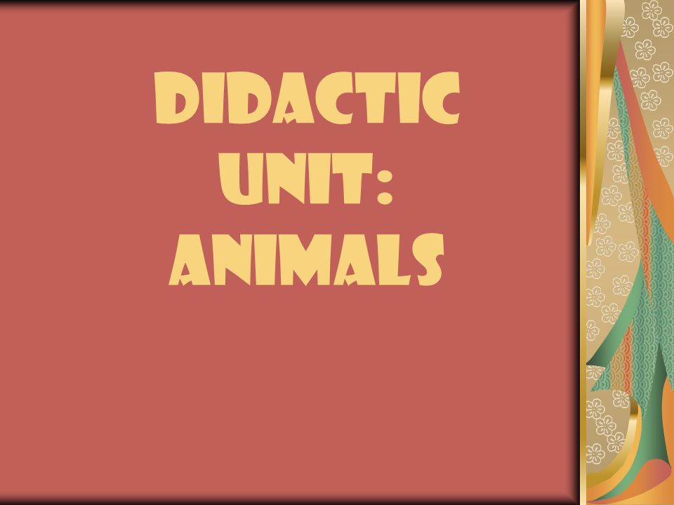 Didactic unit: animals. Preparation: 7 R: Relationships Children´s names No  favourites Inclusive language HumourListen Be funny Be consistent. - ppt  download