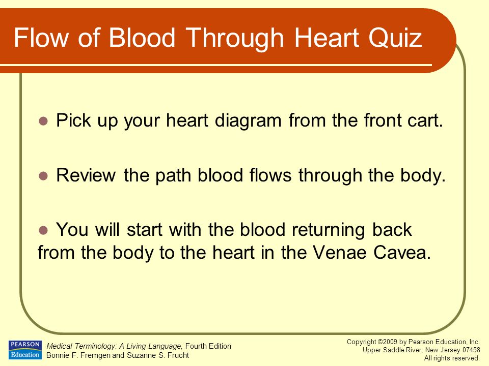 Blood Flow Through Heart Quiz