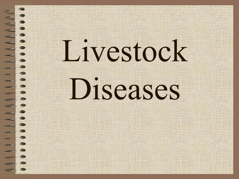 Livestock Diseases. - ppt download