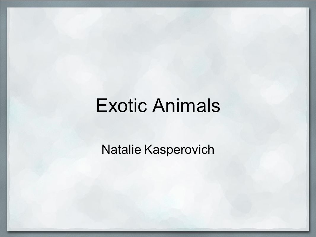 Exotic Animals Natalie Kasperovich. Treating them Many of Exotic Animals  are abused by people each year. Thousands if exotic animals are killed each  and. - ppt download