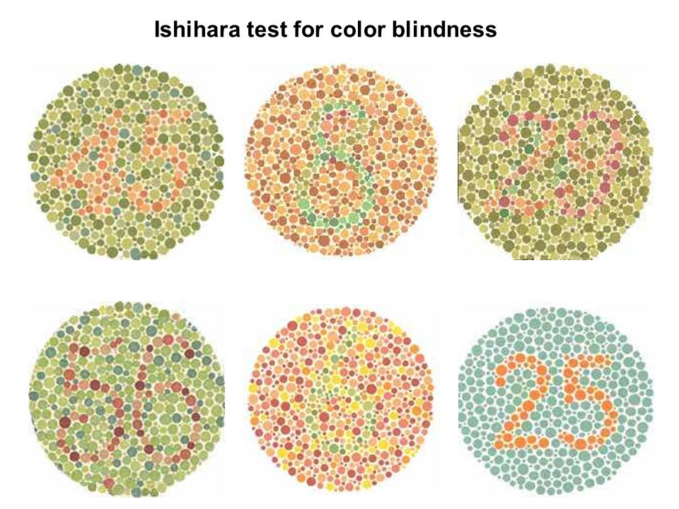 Ishihara test for color blindness - ppt video online download