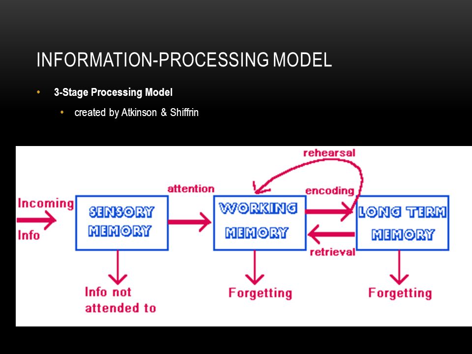 INFORMATION PROCESSING MODEL 3 Stage Processing Model created by