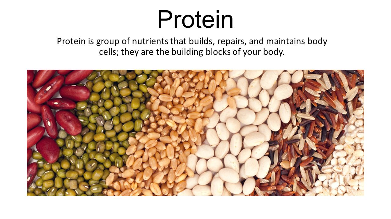 Proteins: building blocks of the body