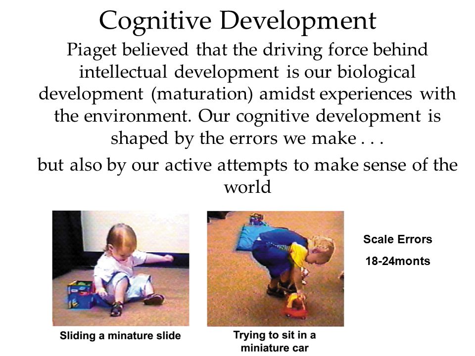 What is cognitive and intellectual development new arrivals