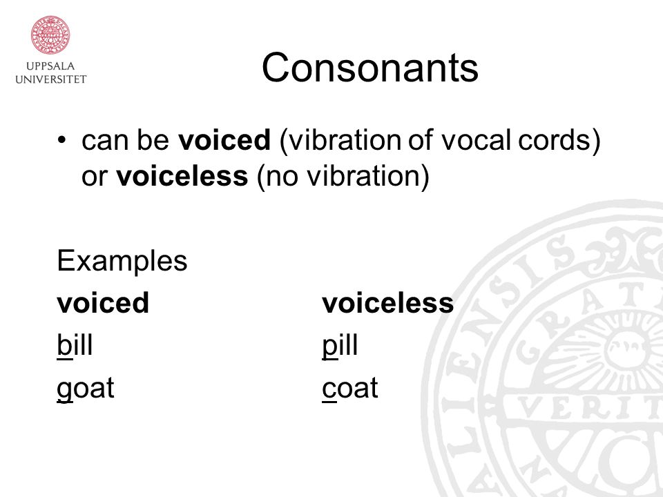 Consonants can be voiced (vibration of vocal cords) or voiceless (no  vibration) Examples voicedvoiceless billpill goatcoat. - ppt download