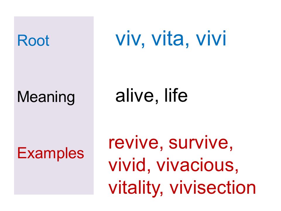 Root Meaning Examples Viv Vita Vivi Revive Survive Vivid Vivacious Vitality Vivisection Alive Life Ppt Download Root Meaning Examples Viv Vita Vivi Revive Survive Vivid Vivacious Vitality Vivisection Alive Life Ppt Download