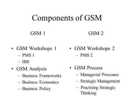 Components of GSM GSM 1 GSM Workshops 1 –PMS 1 –IBS GSM Analysis –Business Frameworks –Business Economics –Business Policy GSM 2 GSM Workshops 2 –PMS 2.