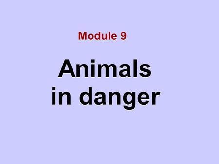 Animals in danger Animals in danger Module 9. Unit 1 We need to protect animals.