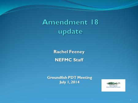 1 Rachel Feeney NEFMC Staff Groundfish PDT Meeting July 1, 2014.