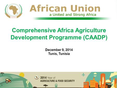 Comprehensive Africa Agriculture Development Programme (CAADP)