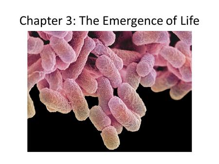 Chapter 3: The Emergence of Life. Darwin’s Proposal In The Origin of Species (1859) Darwin rarely used the term “evolution,” though Herbert Spencer often.