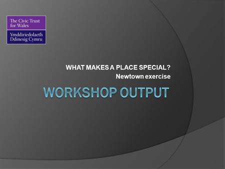 WHAT MAKES A PLACE SPECIAL? Newtown exercise. Note  These outputs reflect the discussion at the seminar  The responses are those of the participating.