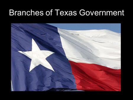 Branches of Texas Government