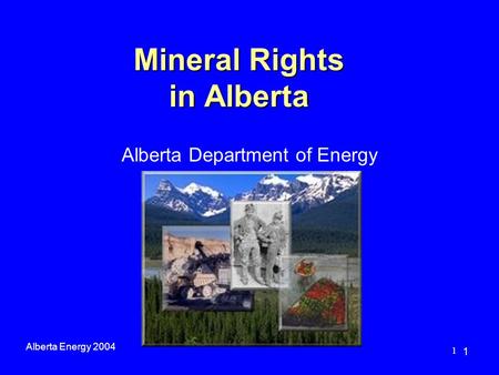 1 Mineral Rights in Alberta Alberta Energy 2004 1 Alberta Department of Energy.