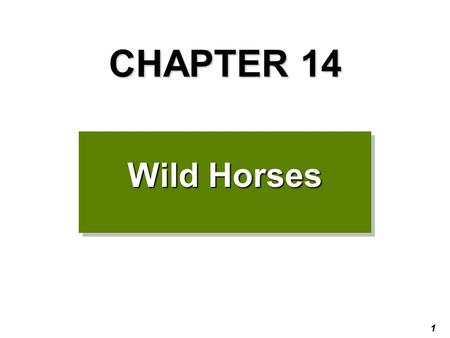 1 CHAPTER 14 Wild Horses. 2 3 Preview Questions Do you have wild horses in your country? Some states in the U.S. have many wild horses. Can you think.