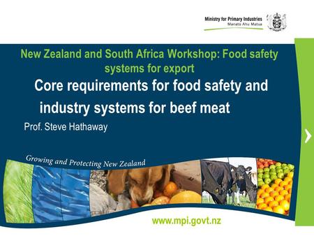 New Zealand and South Africa Workshop: Food safety systems for export Core requirements for food safety and industry systems for beef meat Prof. Steve.