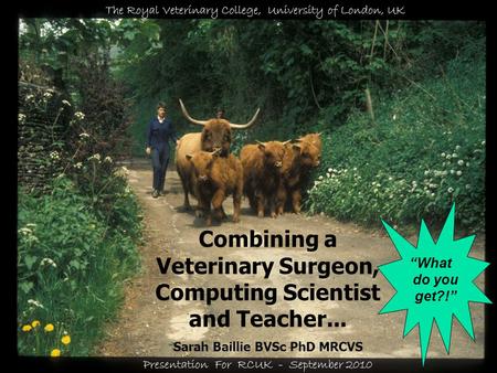 © Sarah Baillie Combining a Veterinary Surgeon, Computing Scientist and Teacher... Sarah Baillie BVSc PhD MRCVS The Royal Veterinary College, University.