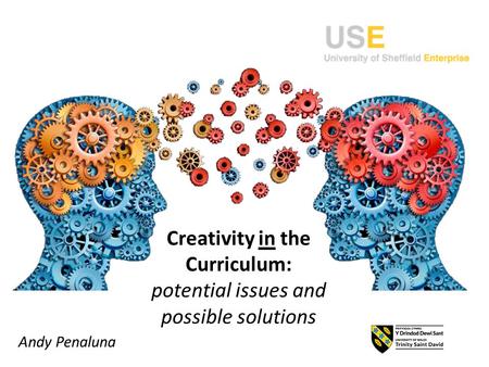 Creativity in the Curriculum: potential issues and possible solutions Andy Penaluna.