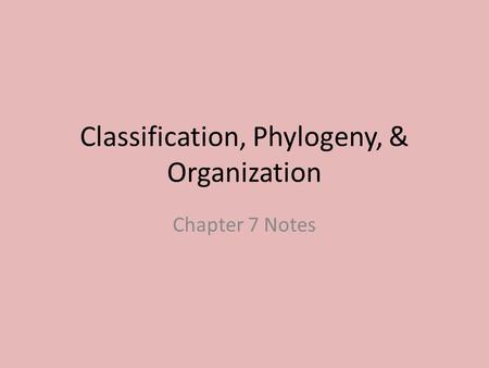 Classification, Phylogeny, & Organization