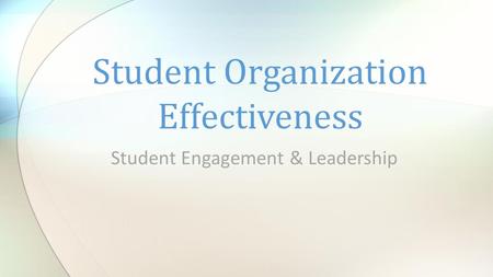 Student Engagement & Leadership Student Organization Effectiveness.