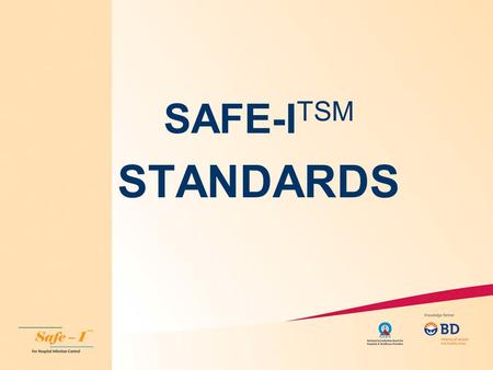 SAFE-ITSM STANDARDS.