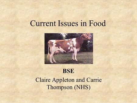 Current Issues in Food BSE Claire Appleton and Carrie Thompson (NHS)