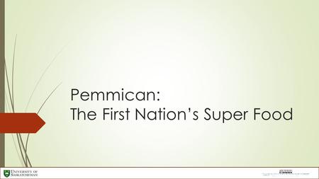 Pemmican: The First Nation’s Super Food. What was it?