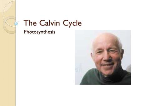 The Calvin Cycle Photosynthesis.