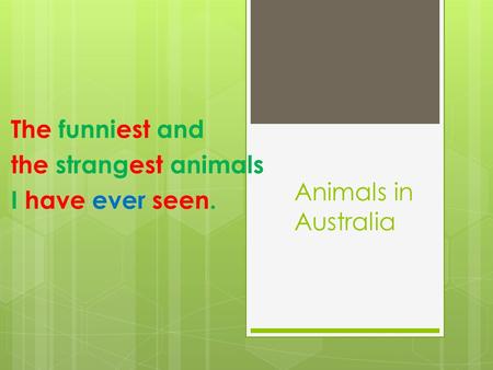 Animals in Australia The funniest and the strangest animals I have ever seen.