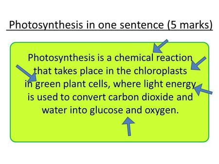 Photosynthesis in one sentence (5 marks)