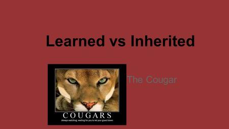 Learned vs Inherited The Cougar.