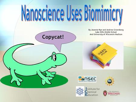 Nanoscience Uses Biomimicry
