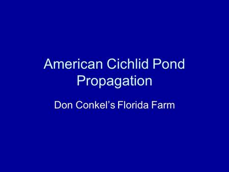 American Cichlid Pond Propagation