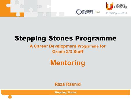 Stepping StonesStepping Stones Programme Stepping Stones Stepping Stones Programme A Career Development Programme for Grade 2/3 Staff Mentoring Raza Rashid.